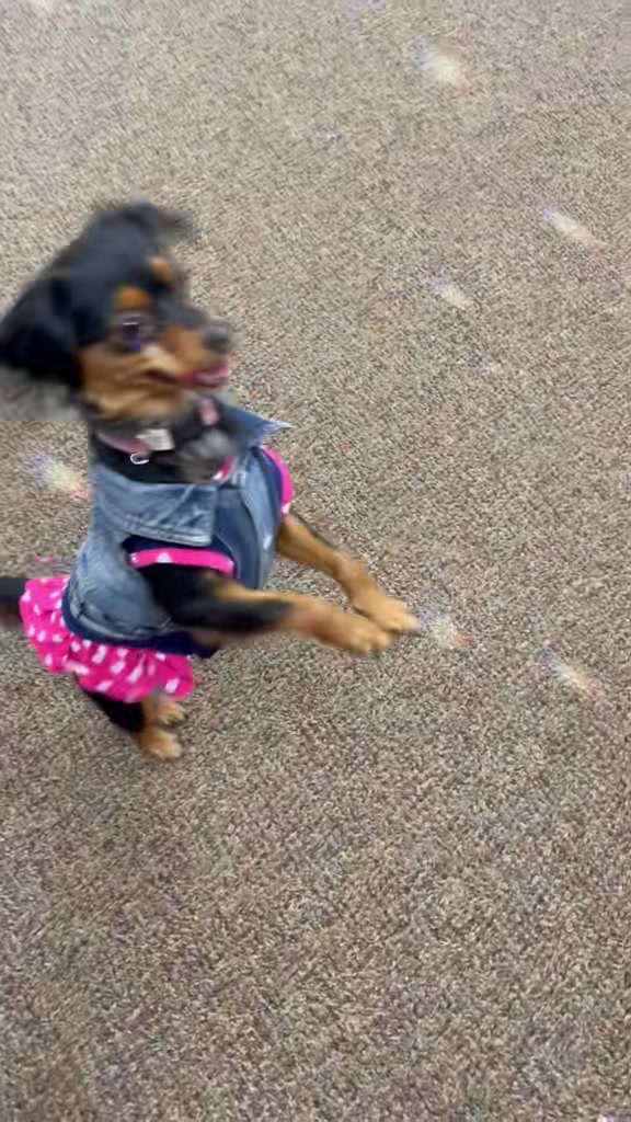 @Sweet Little Daisy