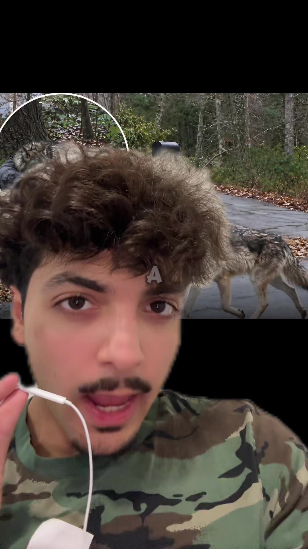 @Sbladn