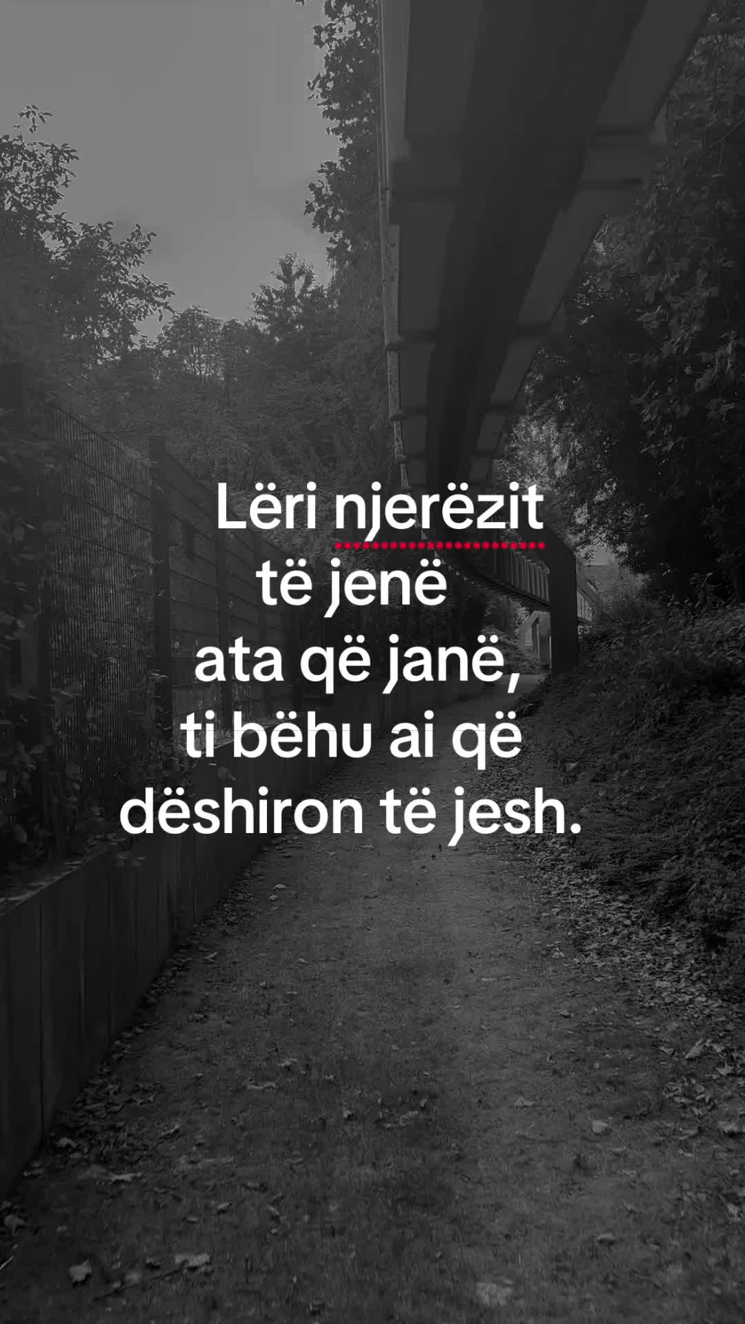 @Ilda_007🇦🇱❤️