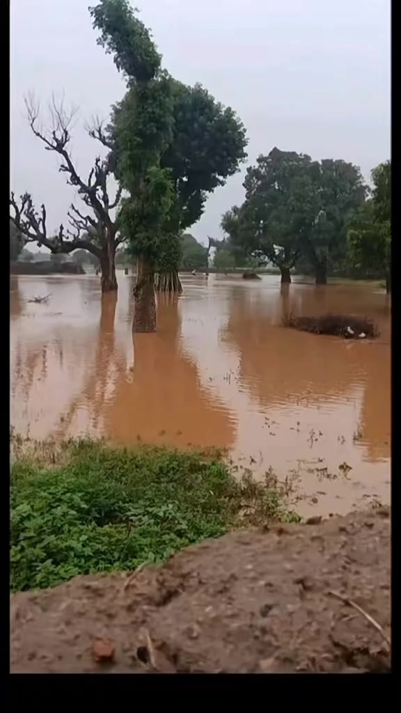 @s&eacute;ny sy10