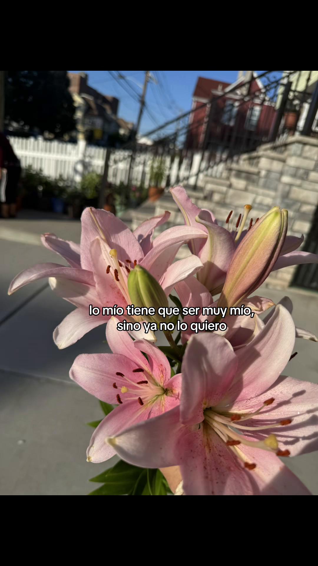 @xx._.reels