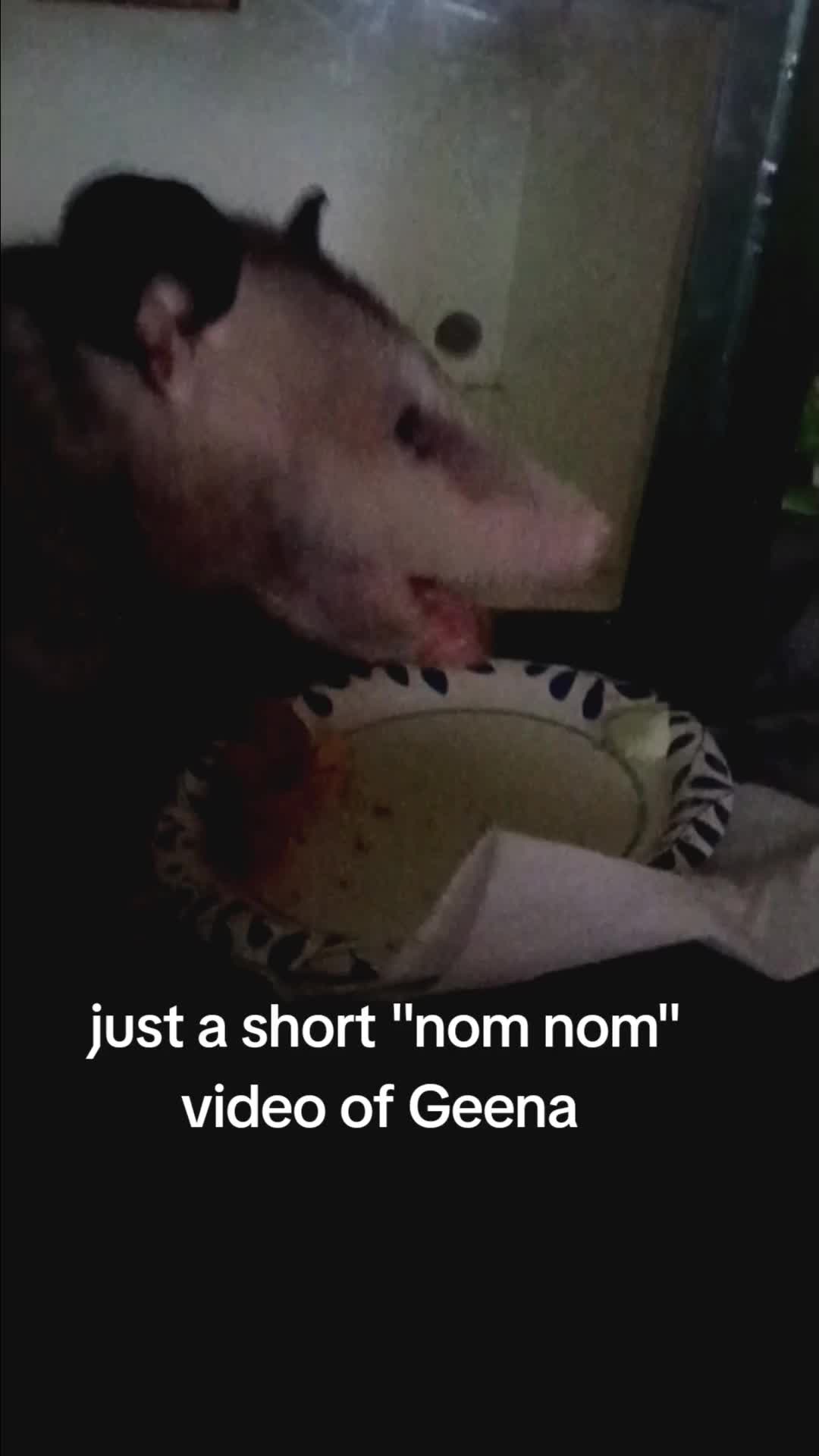 @Pet Skunk Advocates and Rescue