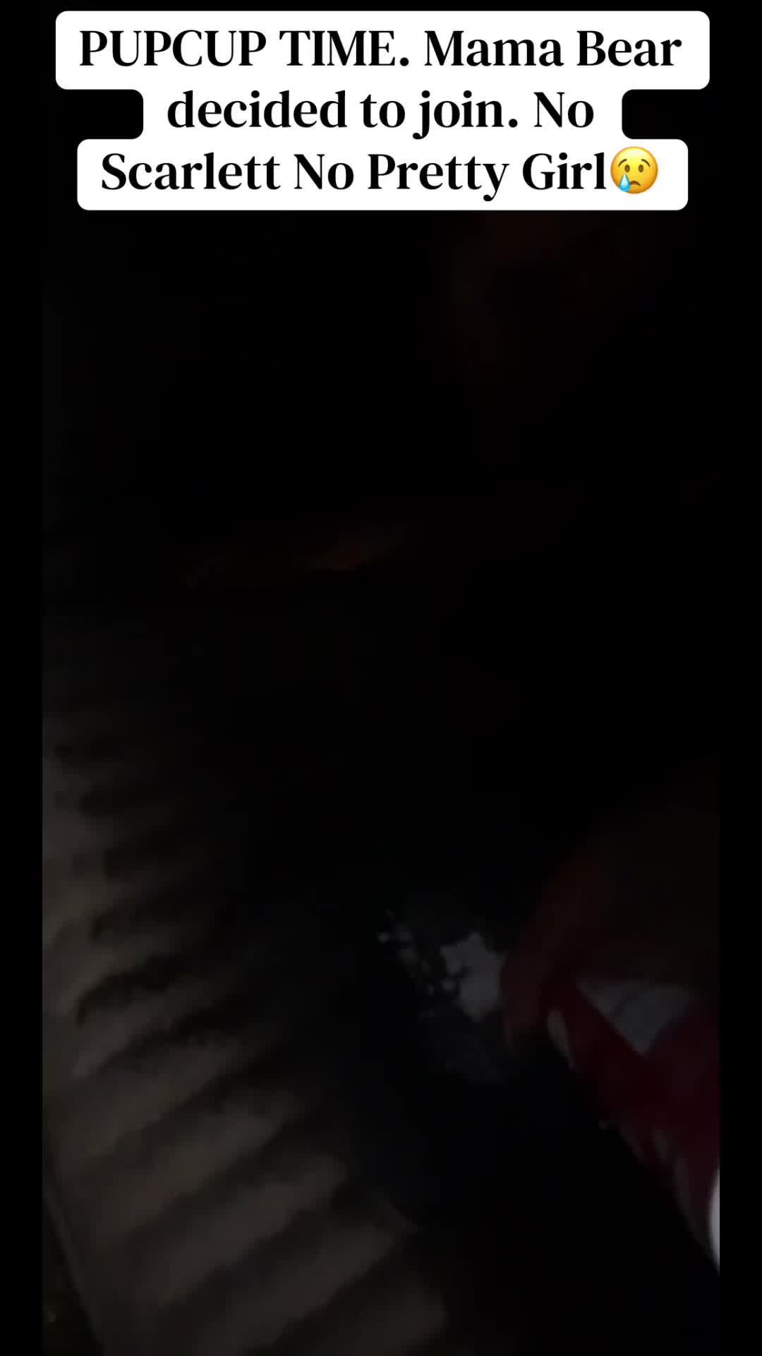 @miloodieclarkandbluespak