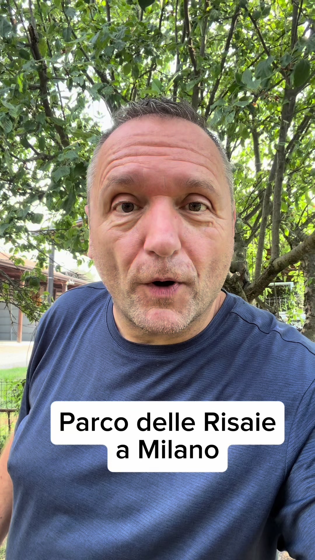 @Andrea Cherchi