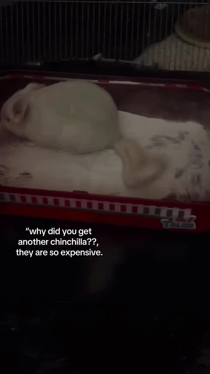 @𝔰𝔱𝔞𝔯𝔱𝔥𝔢 𝔰𝔱𝔬𝔫𝔢𝔯