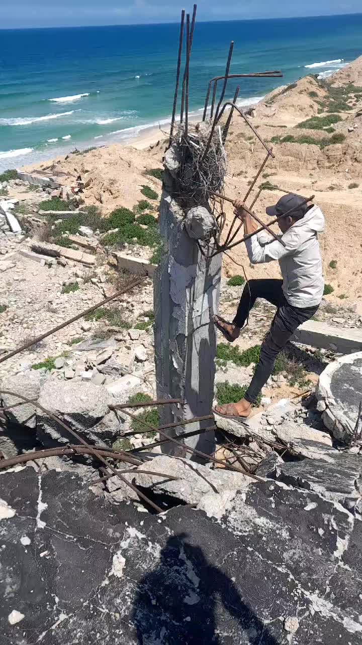@تُےـسًےـٱهےـِيّےـلَ ❤&zwj;🩹