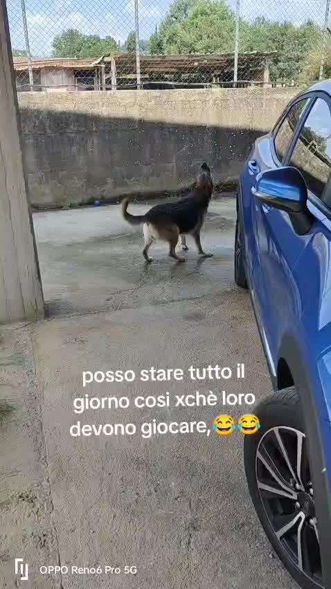 @franco senato