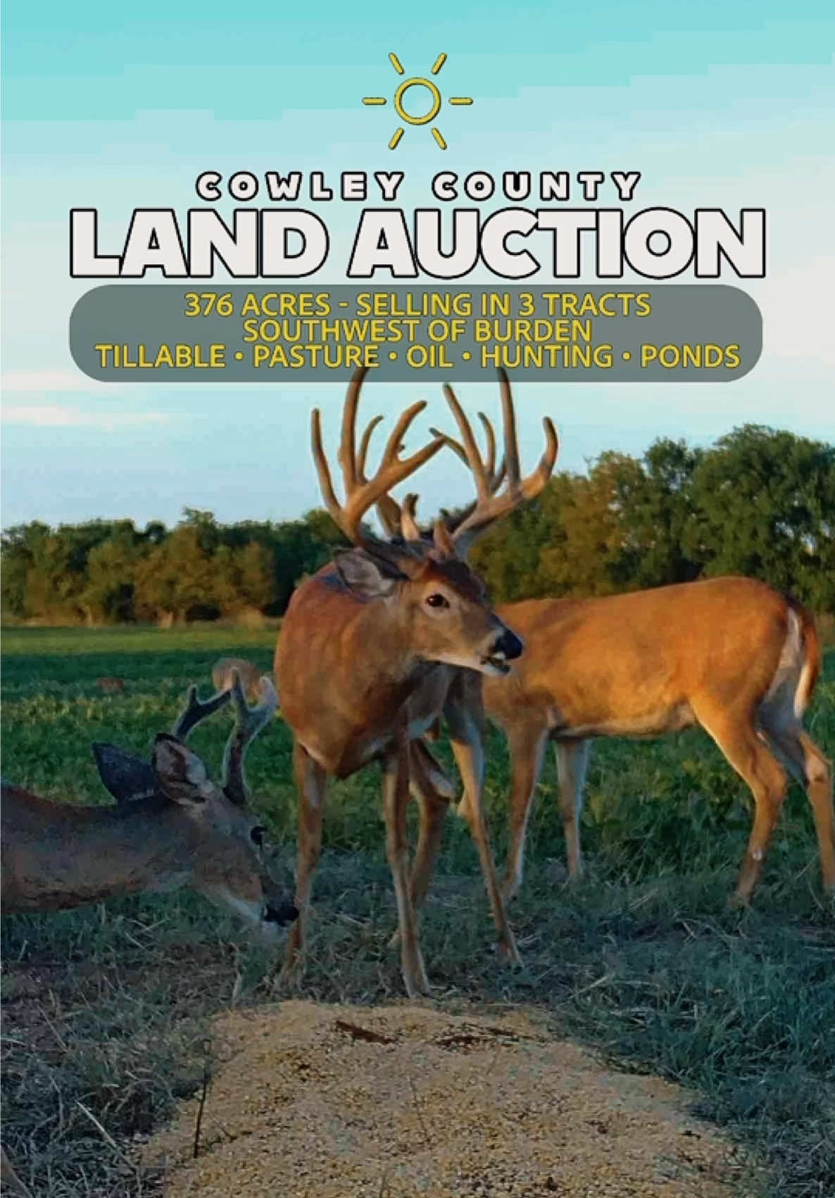 @Sundgren Realty & Auction