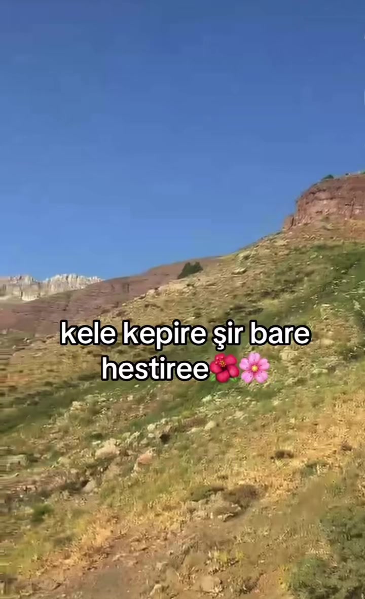 @ŞİYAR ✪