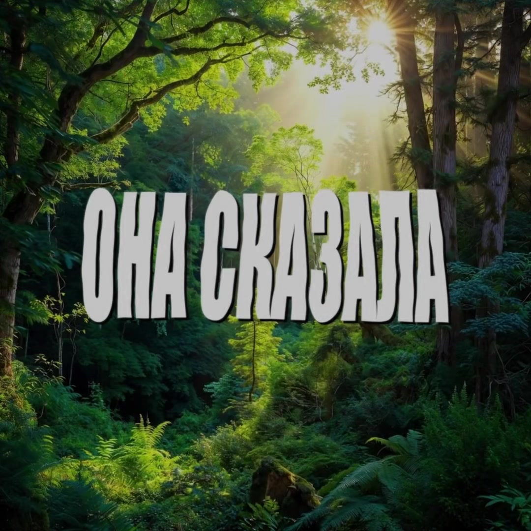 @динзик🤍| ディン