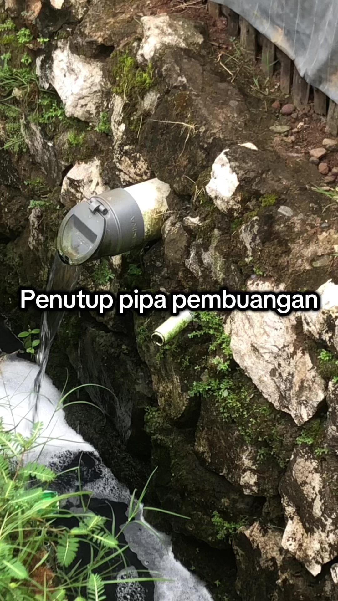@Nuy