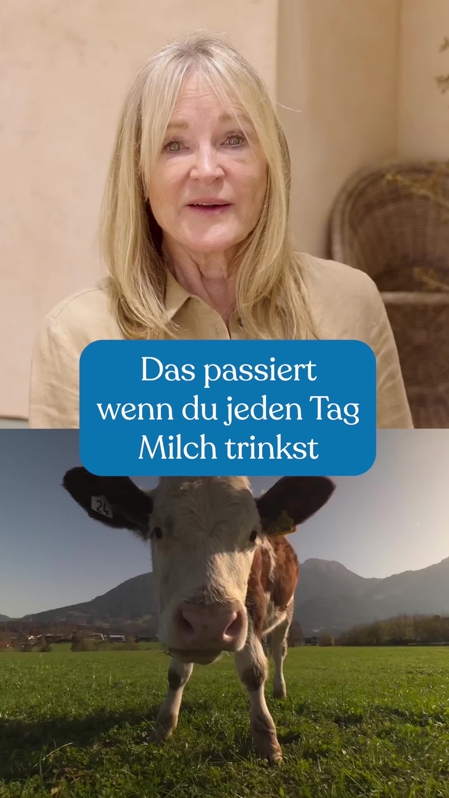 @Liebscher & Bracht