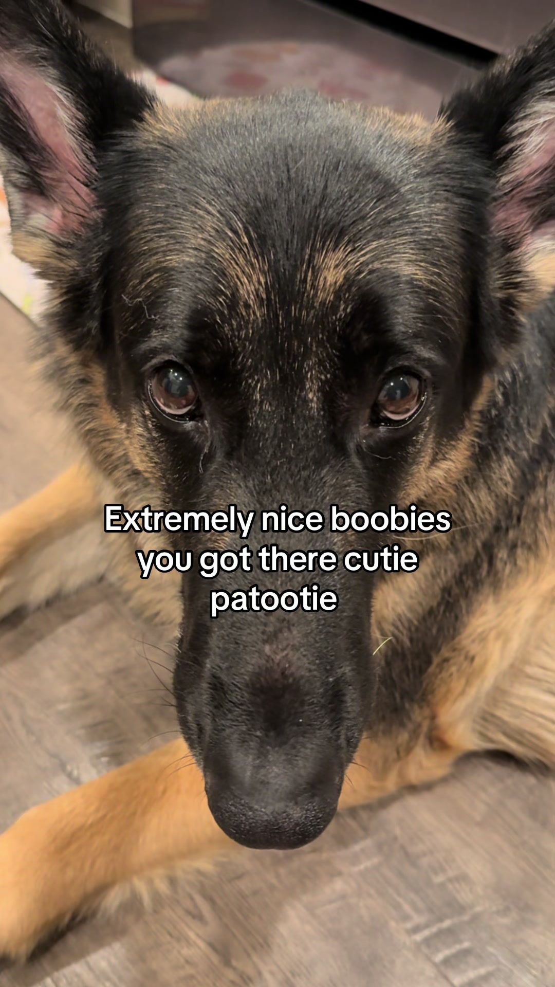 @Bhris