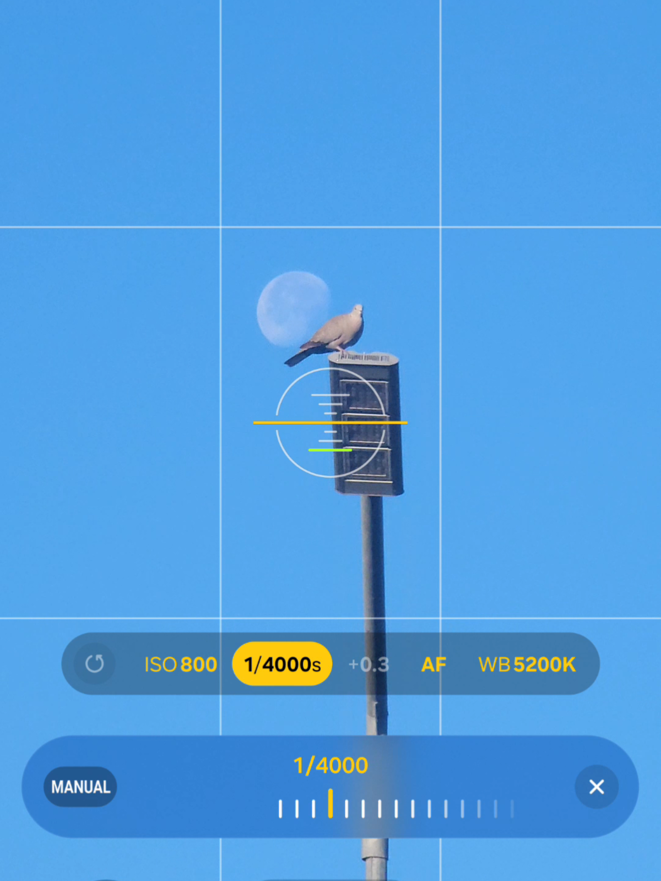 @𝚃𝚘𝚗𝚢𝚌𝚕𝚒𝚌𝚔'𝚂 𝙿𝙾𝚅📱