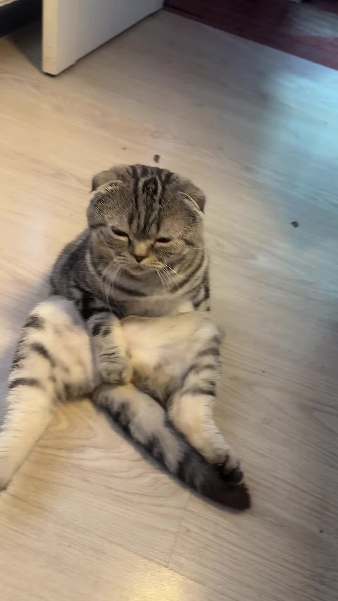 @Королёва
