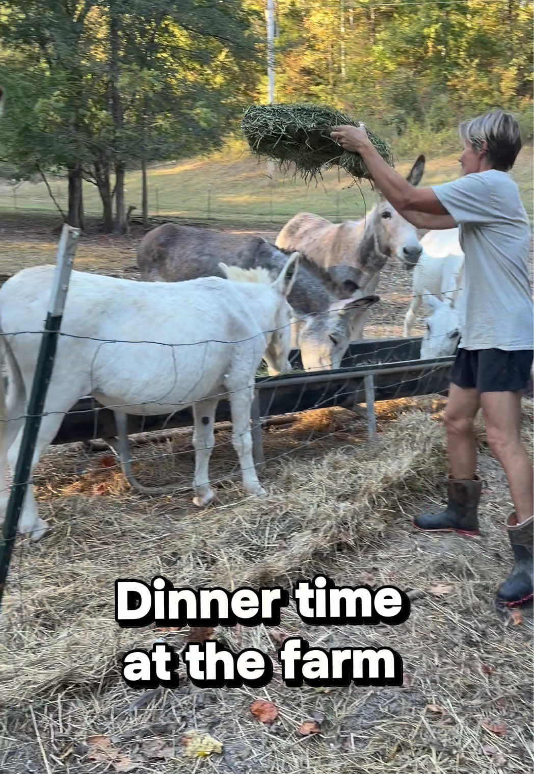 @Our Simple Homestead