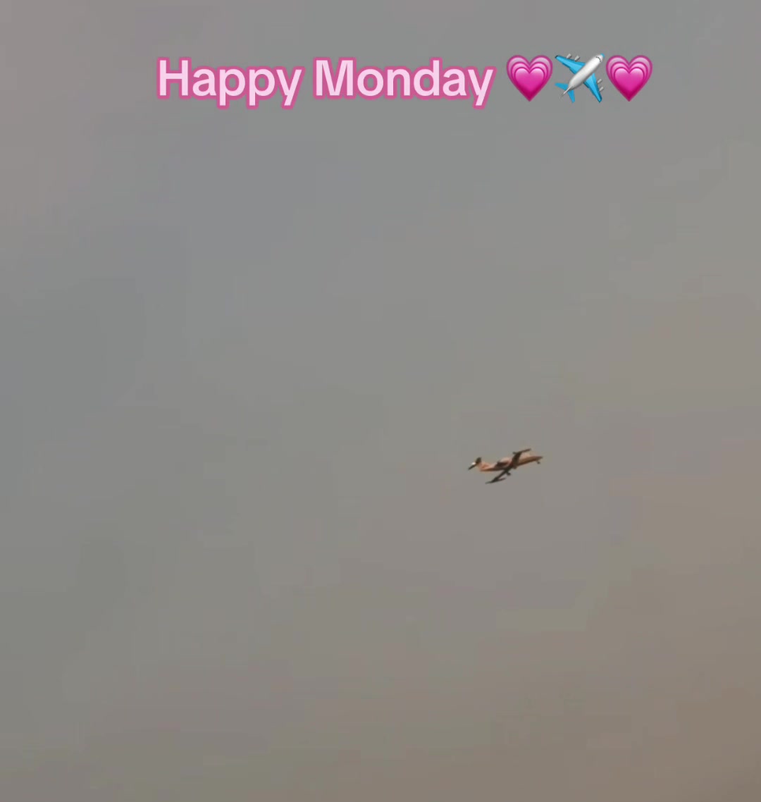 @Allie’s Airplanes