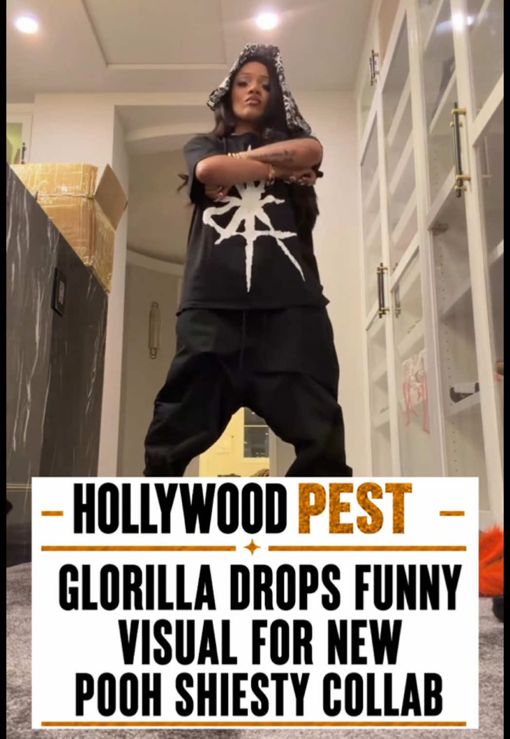 @hollywoodpest