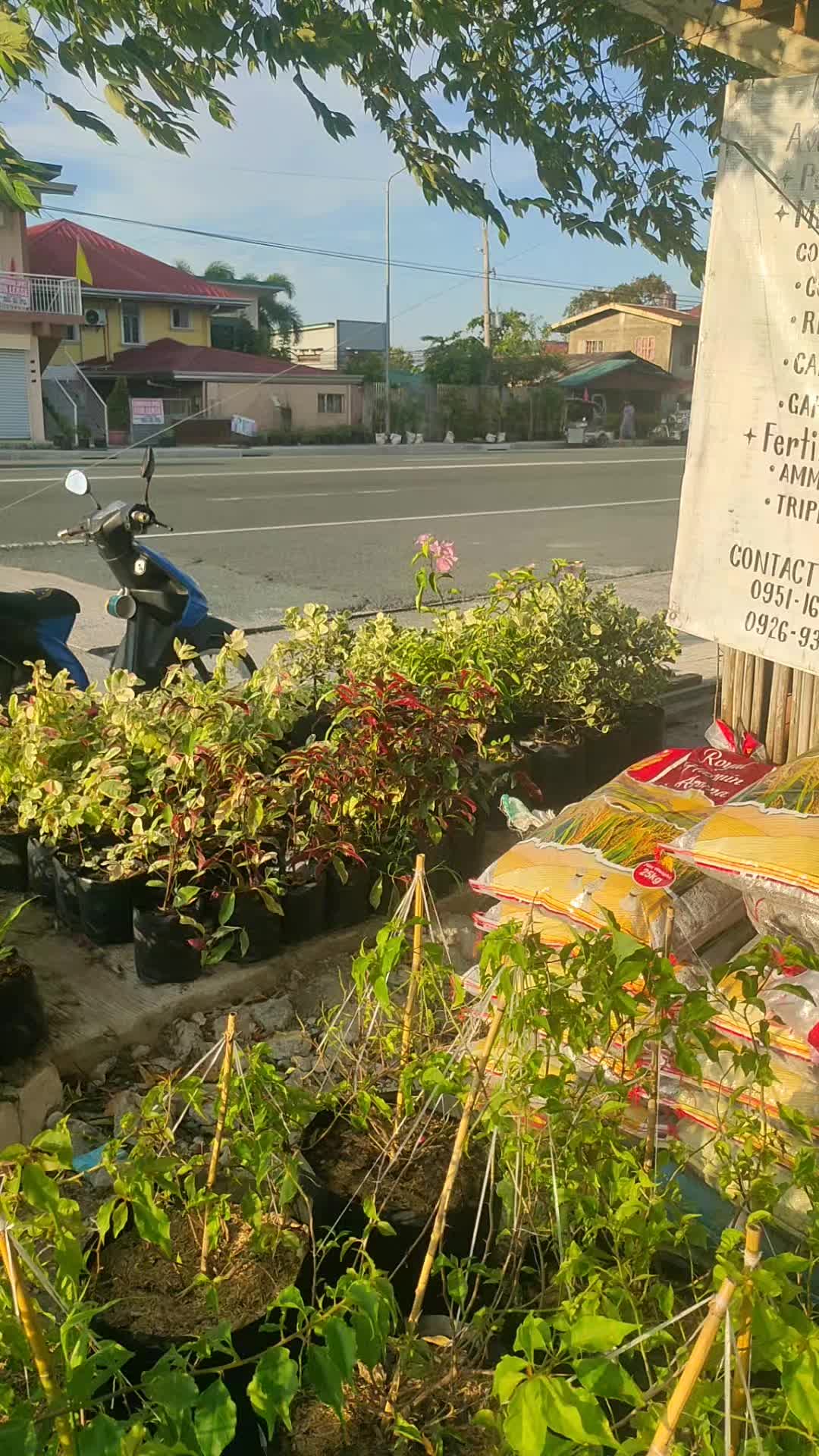@Beautiful Garden of Eve