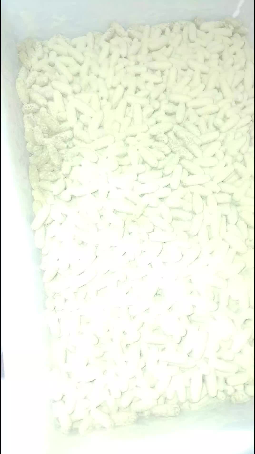 @saharaprincesse