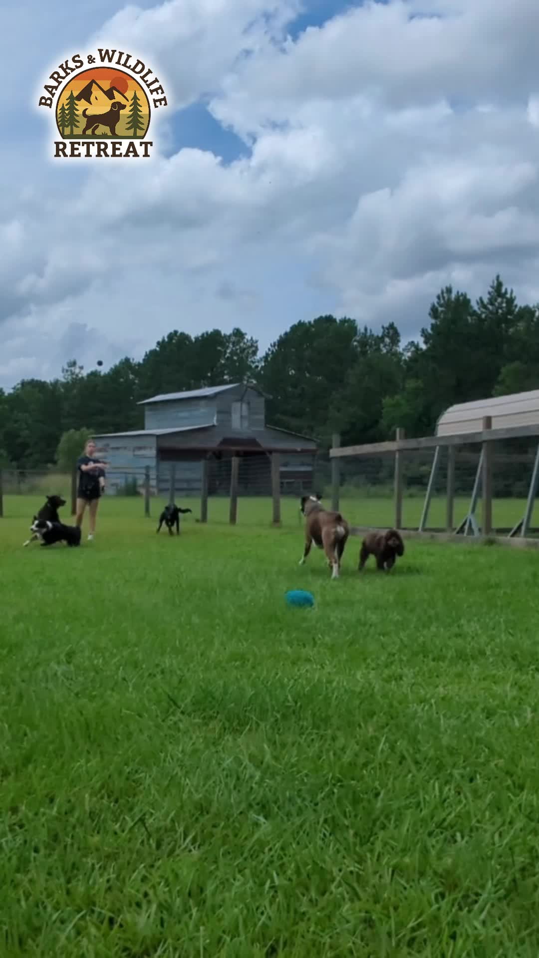 @Barks & Wildlife Longville LA