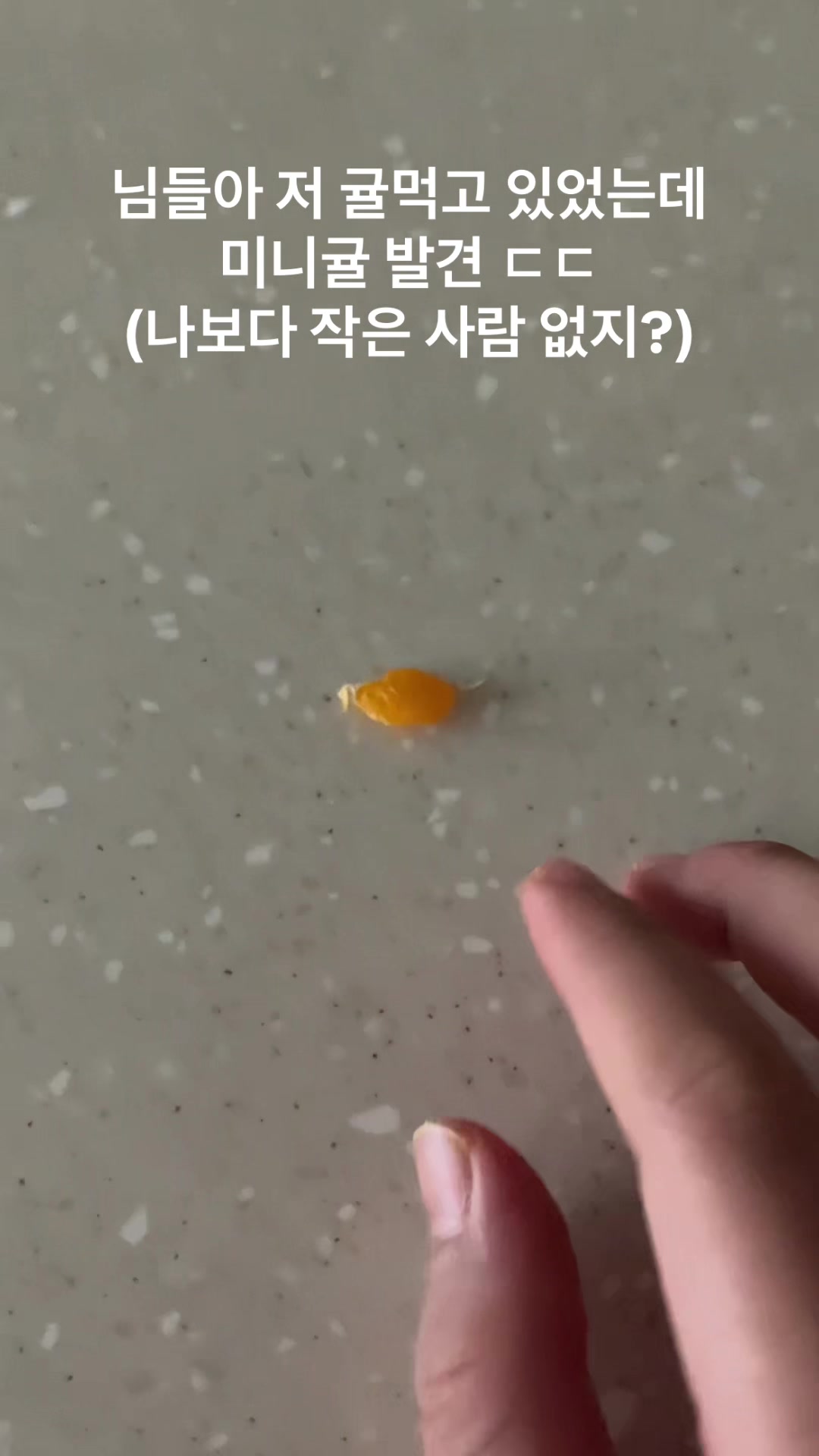 @동생은 외계인