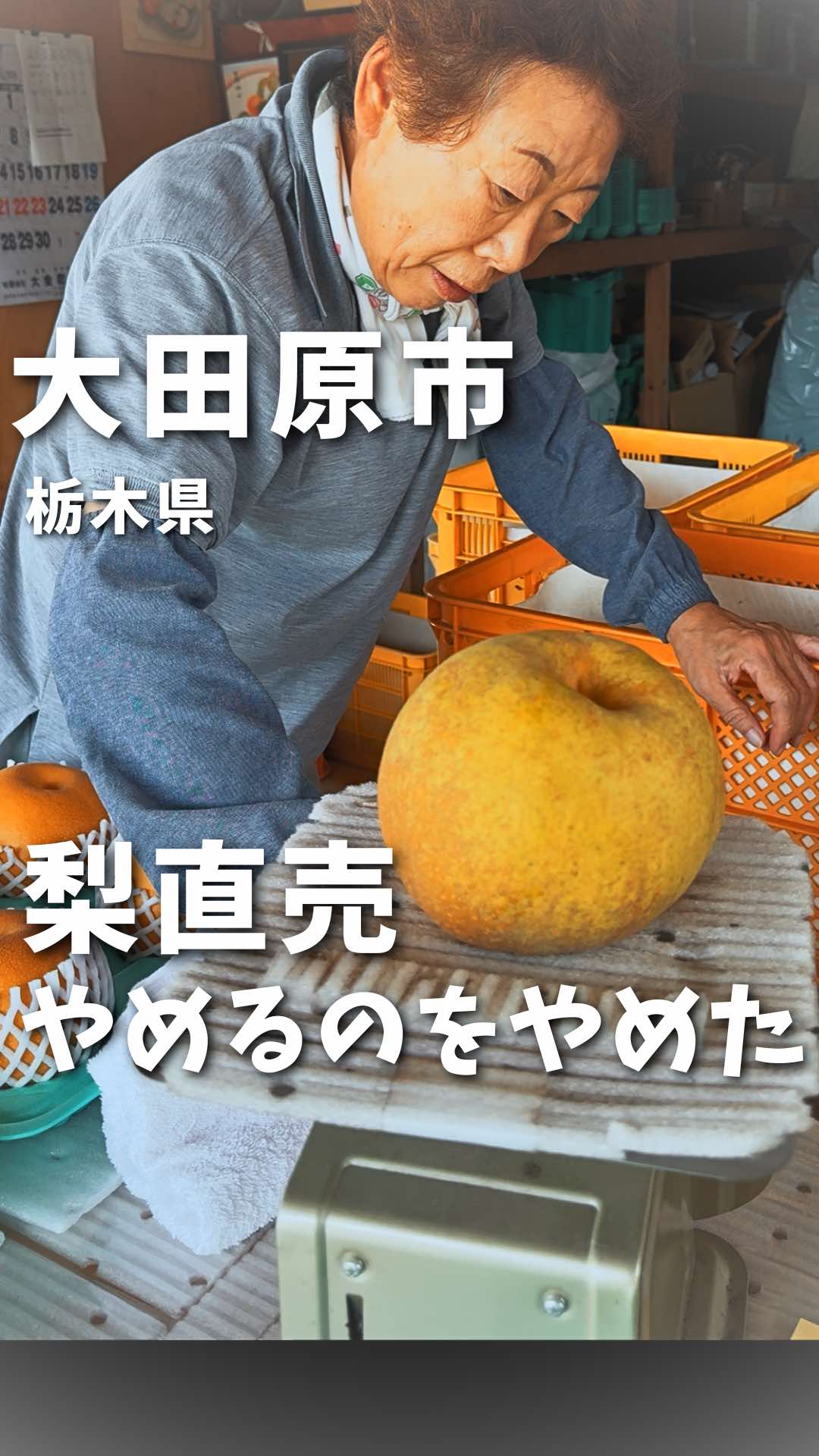 @もも|栃木グルメ&日帰りスポット🍑