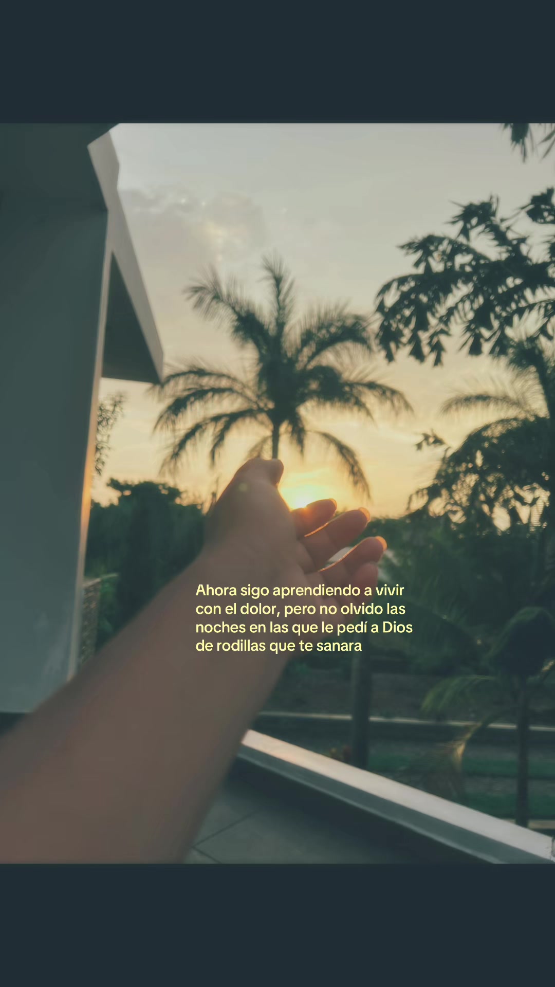 @Tanii♡