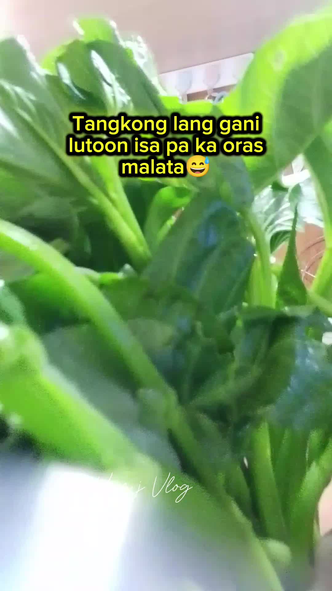 @Vam j
