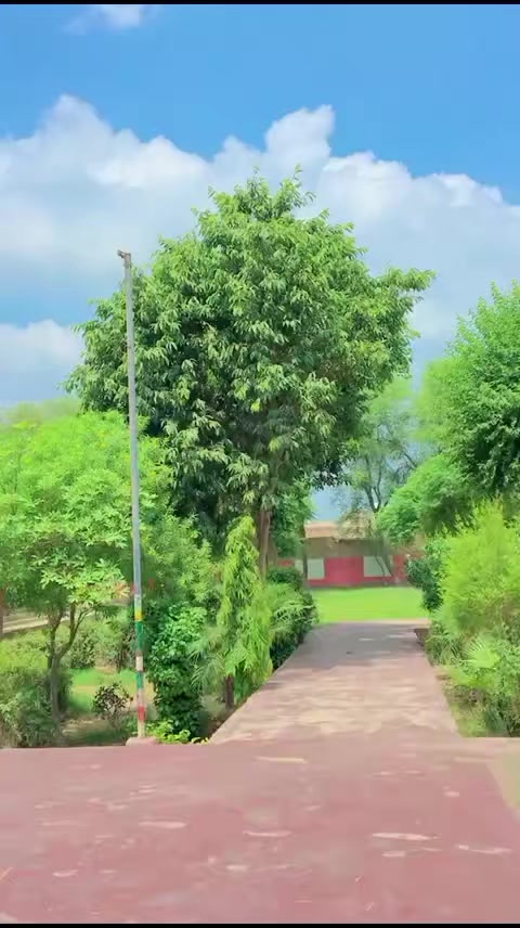 @Nadeem Shaheen Sultani