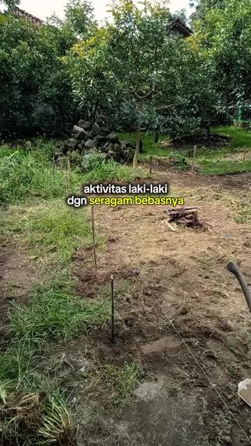 @mediykfarm