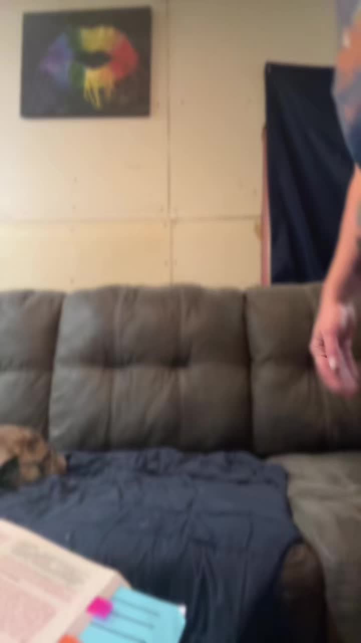 @traceface