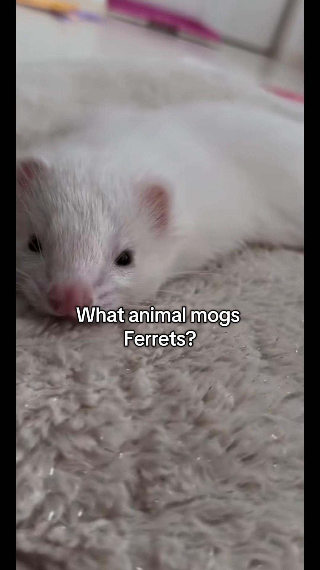 @ 