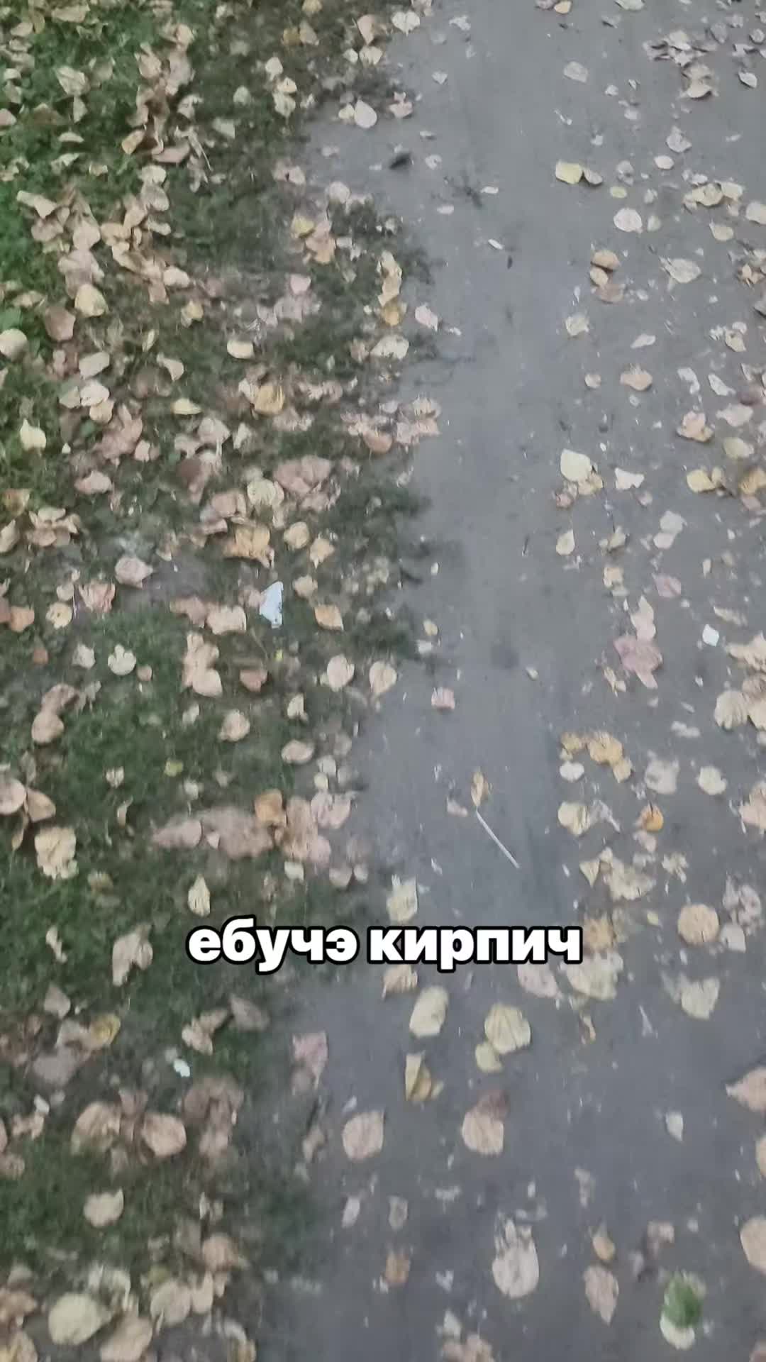 @андрюхашуруповёрт#ADL🪖