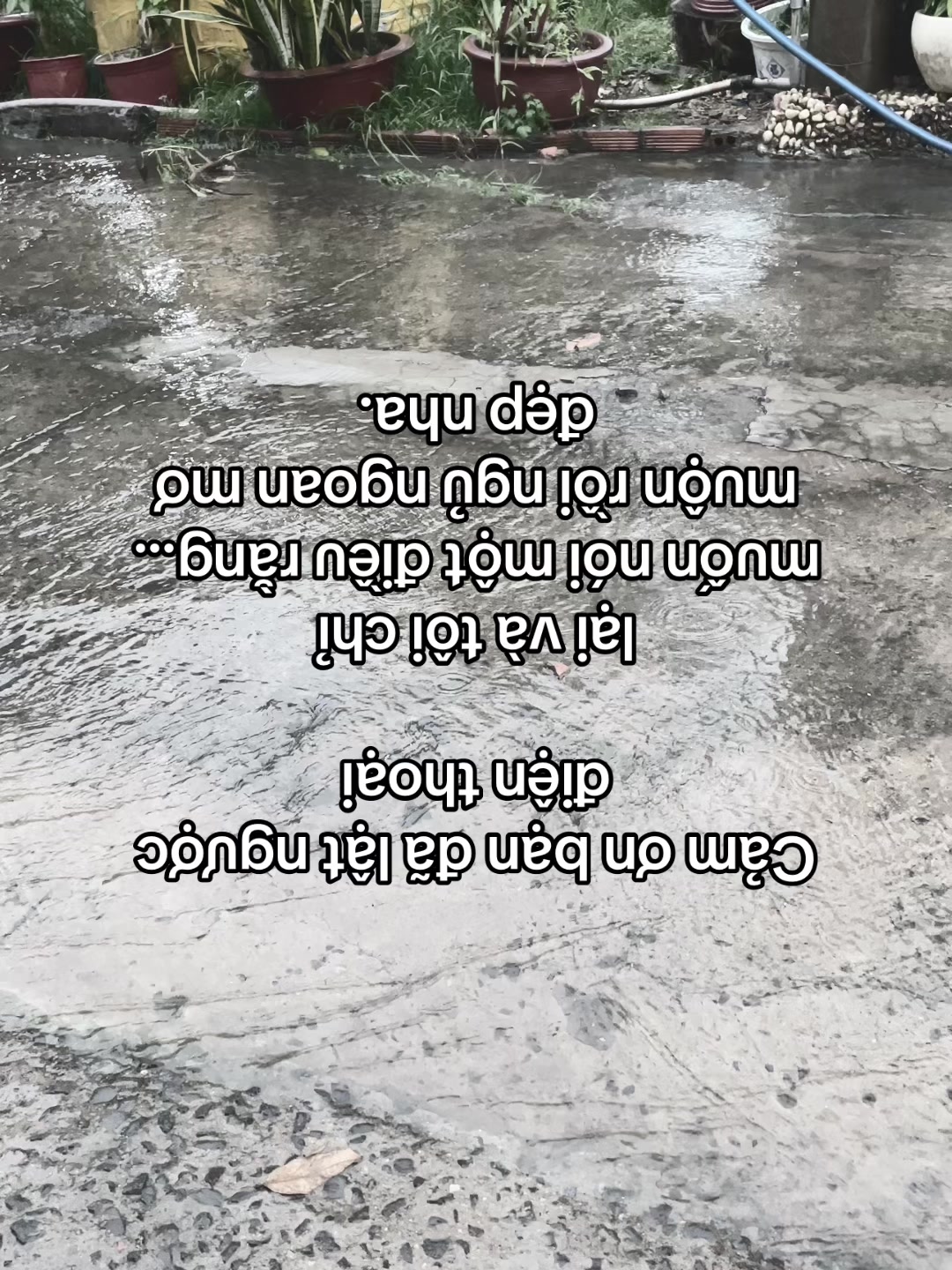 @Tiến Đức