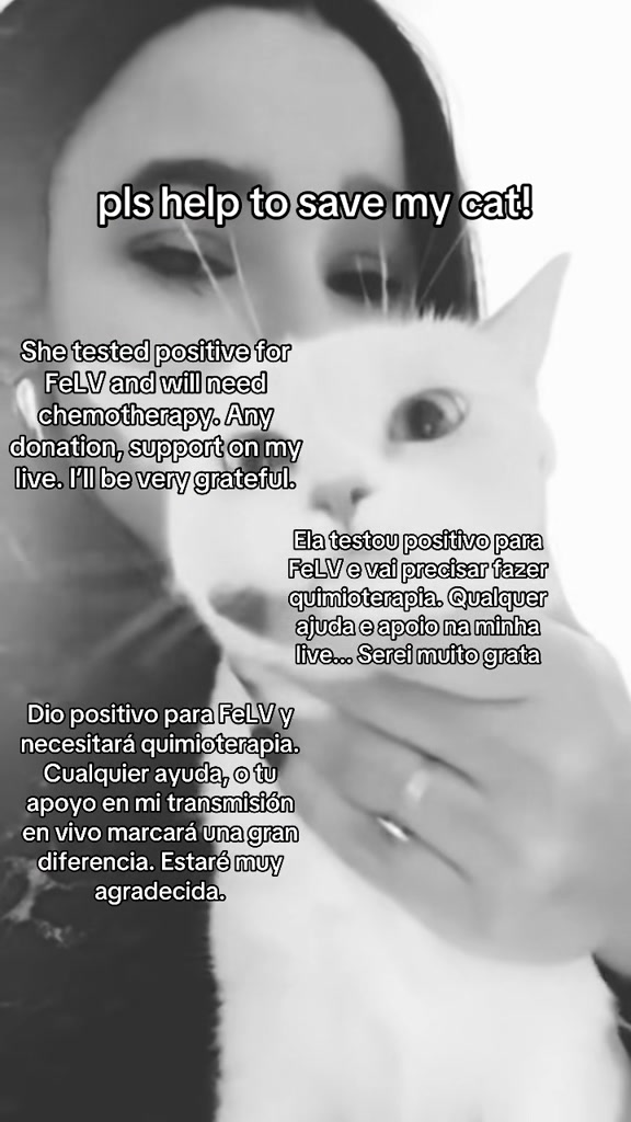 @๐๐๐๐๐๐ชฝ