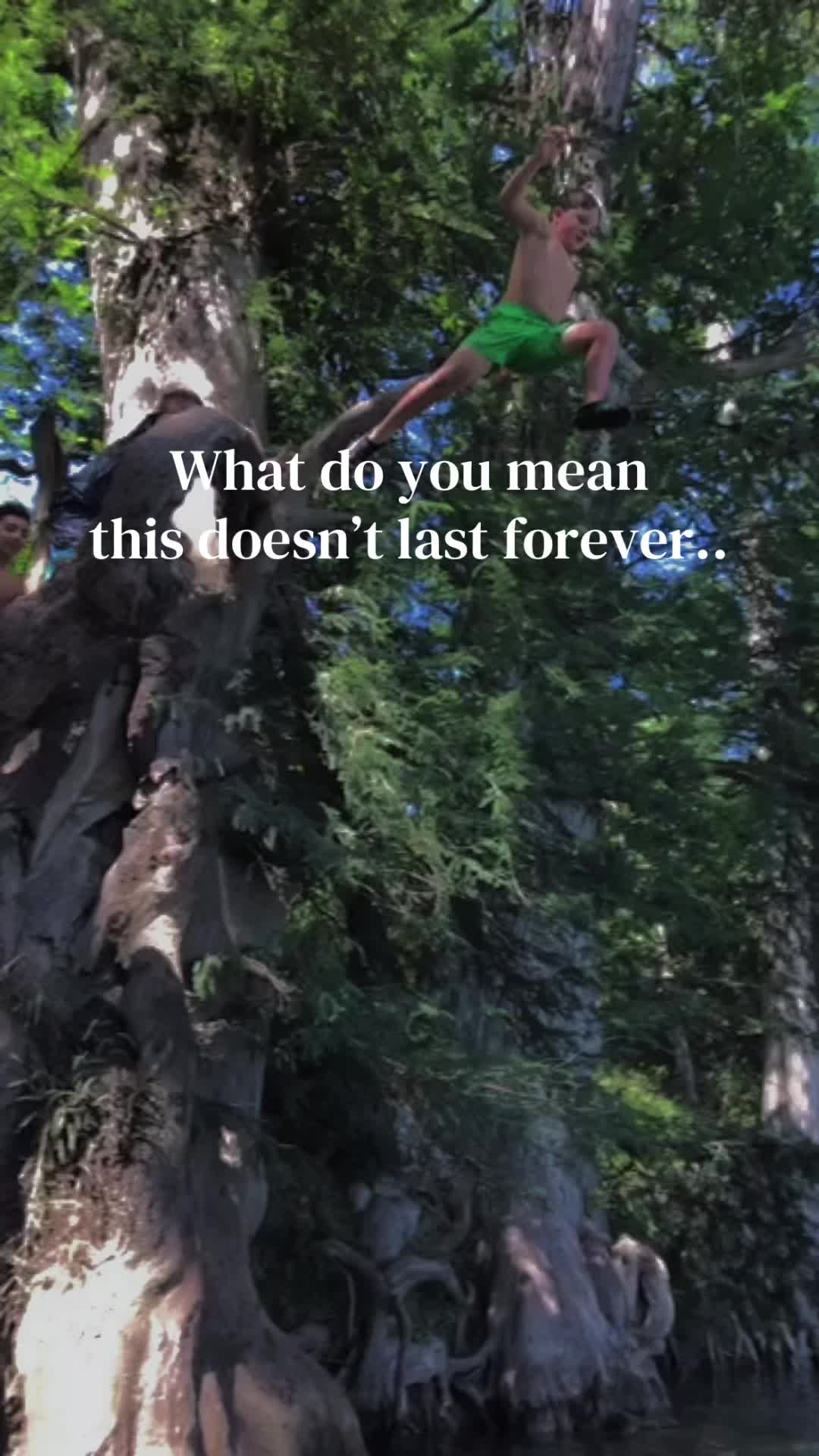 @Cassafrassssss