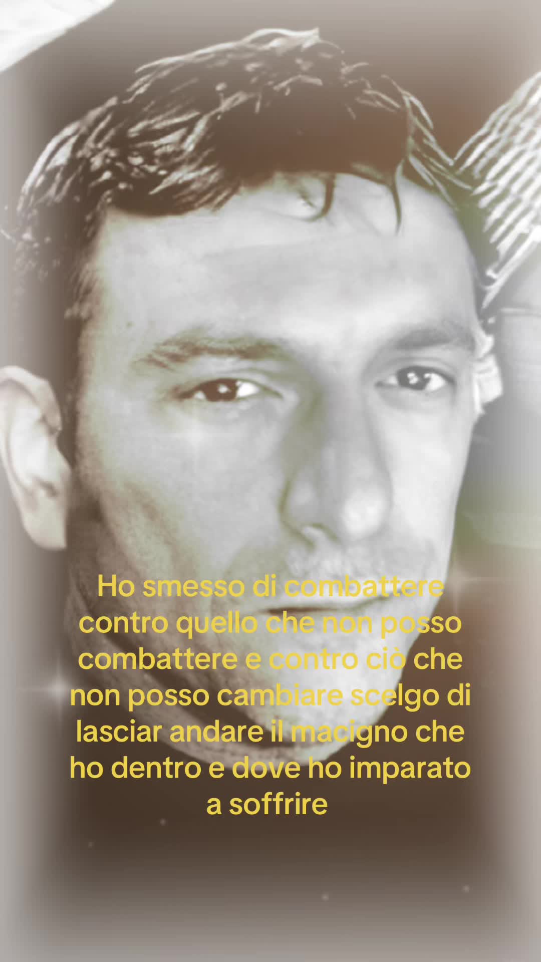 @stefaninofila