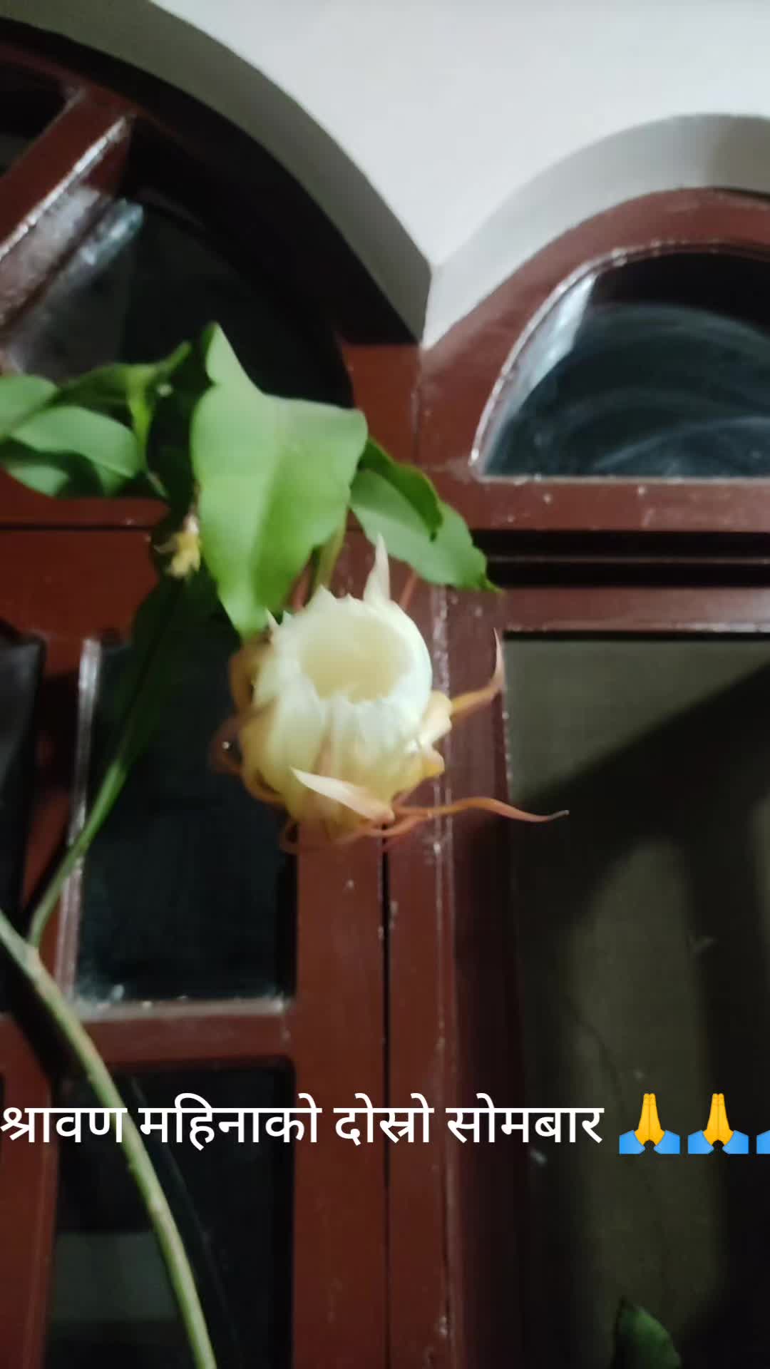 @ममता शर्मा