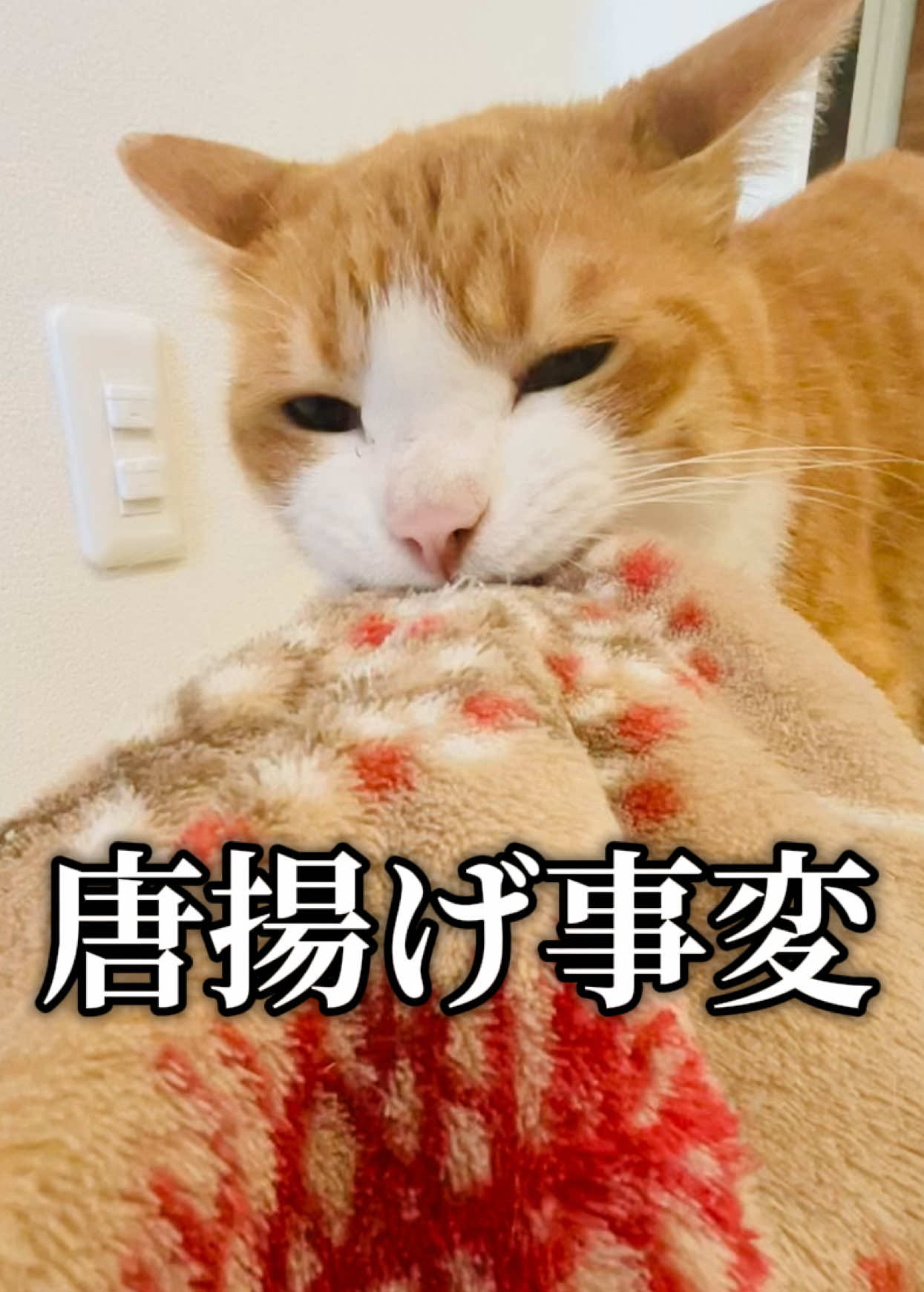 @みーこchannel