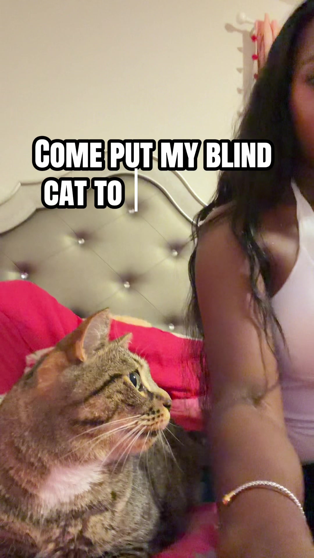 @Ari Robinson