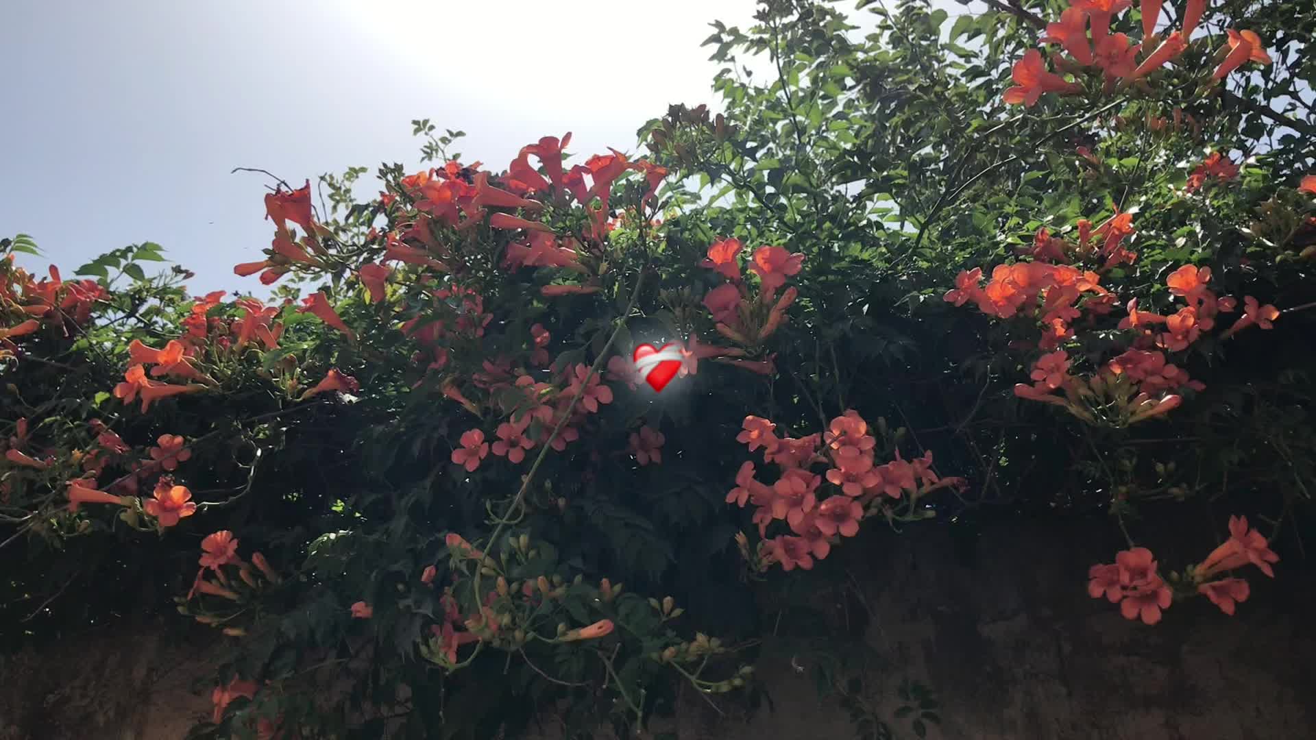 @๐