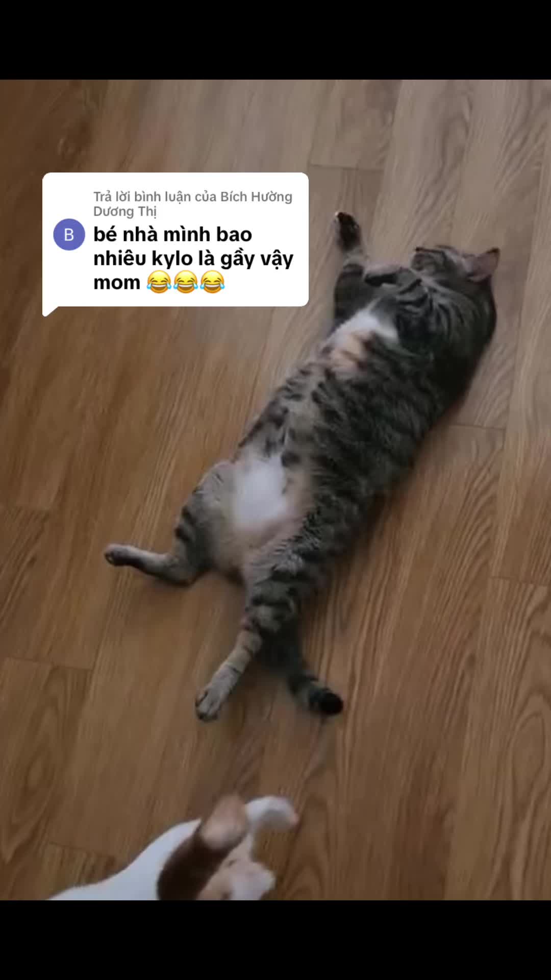 @sendituyen