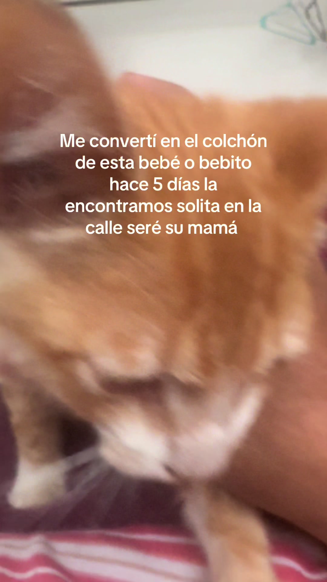 @Angelica Diaz