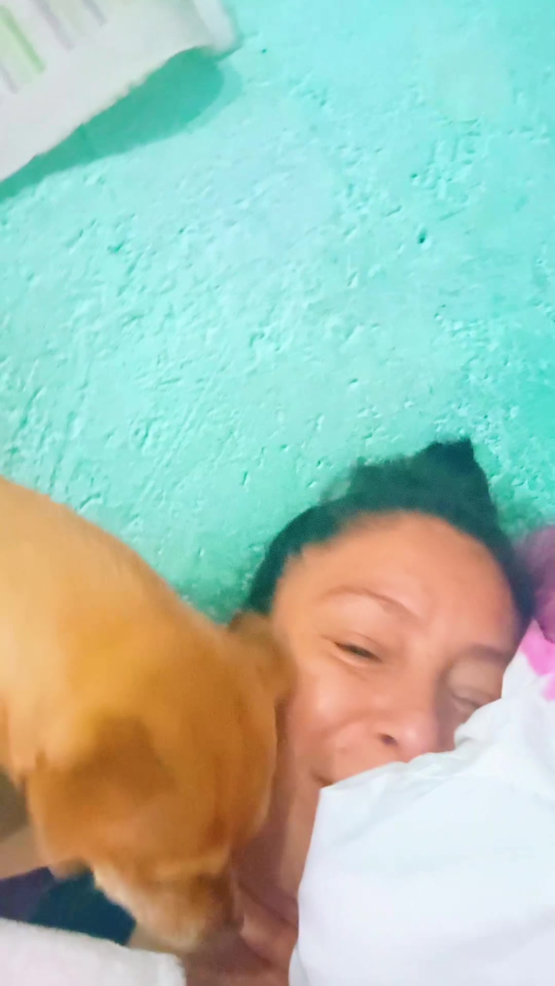 @V1V15 sanchez
