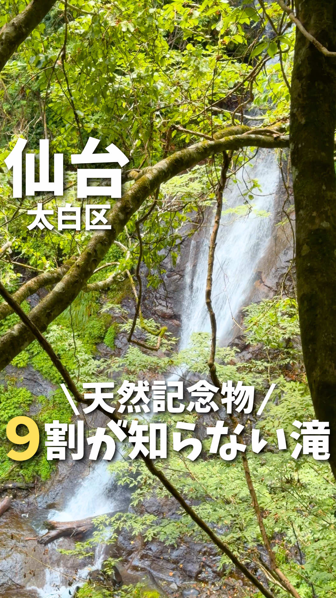@あおい【仙台・宮城・東北旅行🌈】