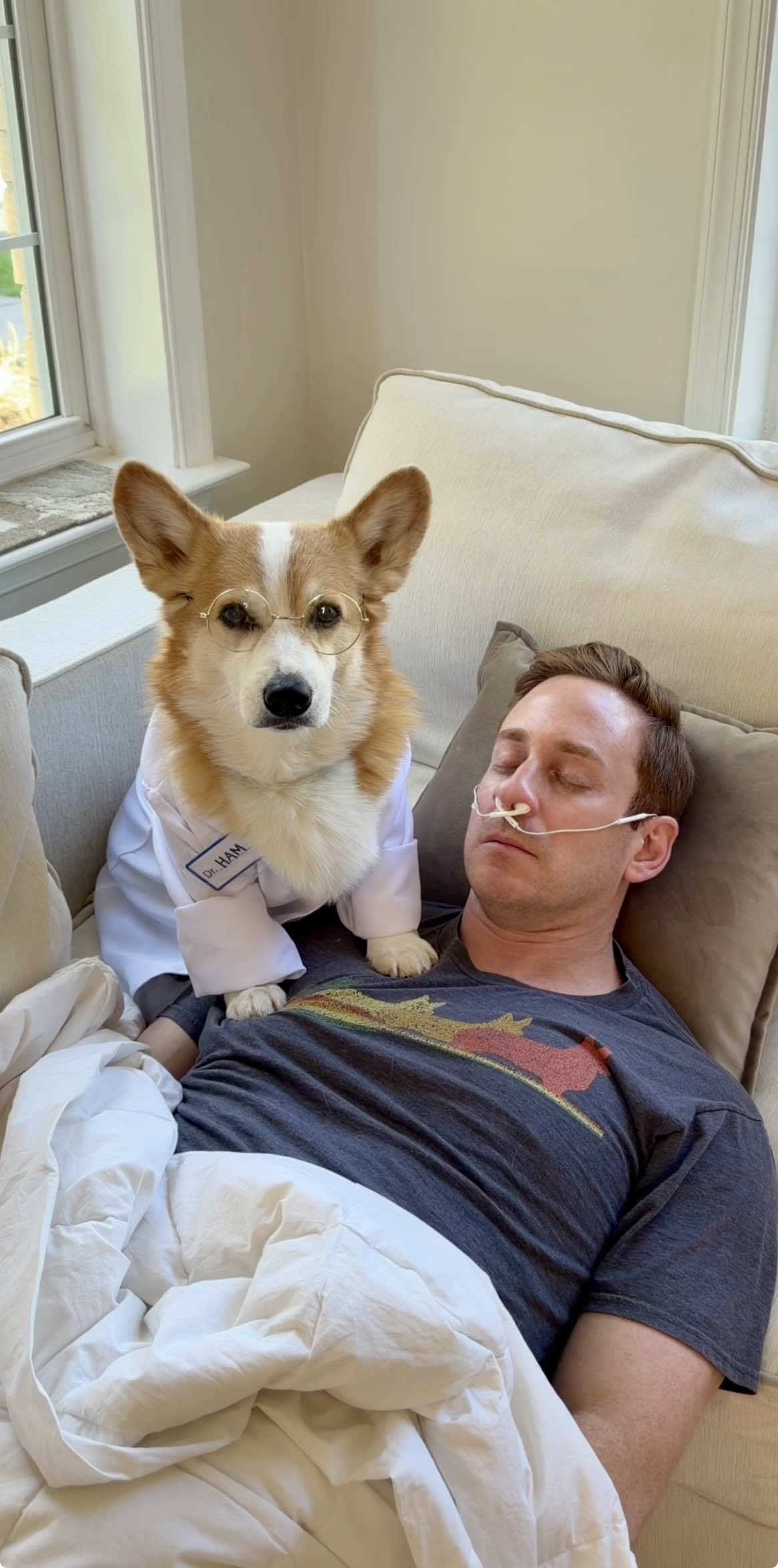 @Hammy & Olivia Corgi