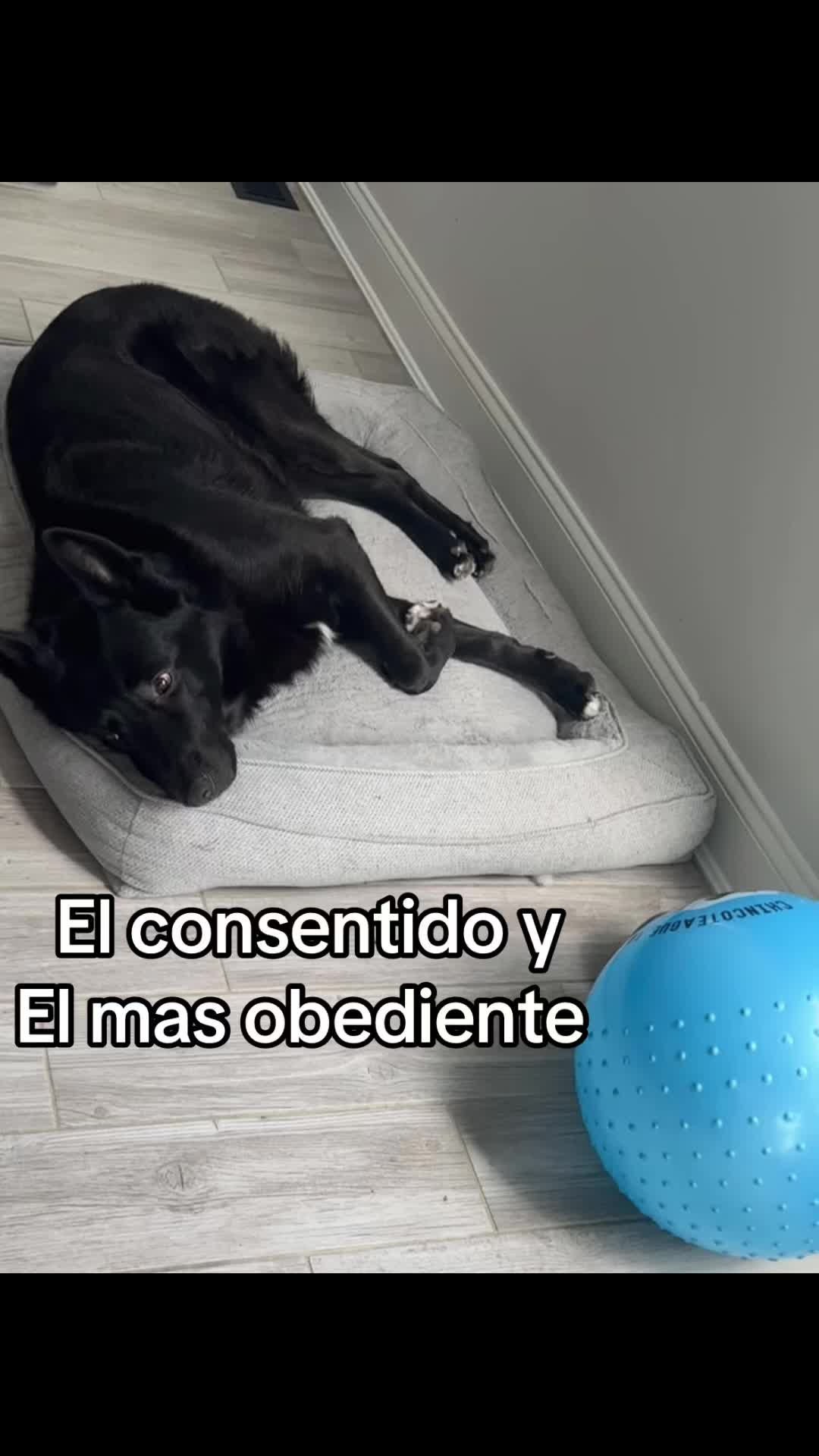@Sandra