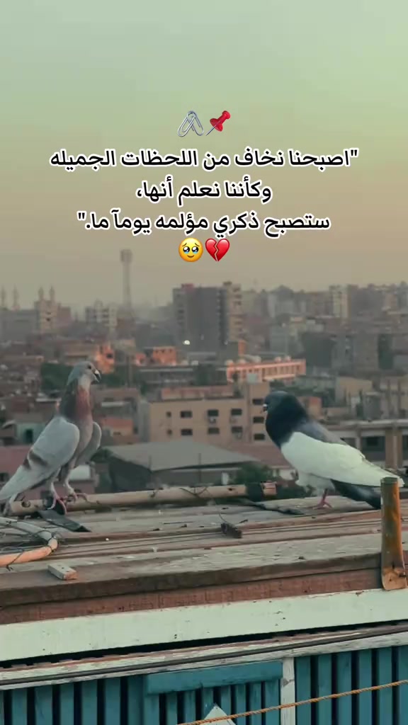 @✨الدكترة"&"بــوده🫀🩺🥼e. i d✨
