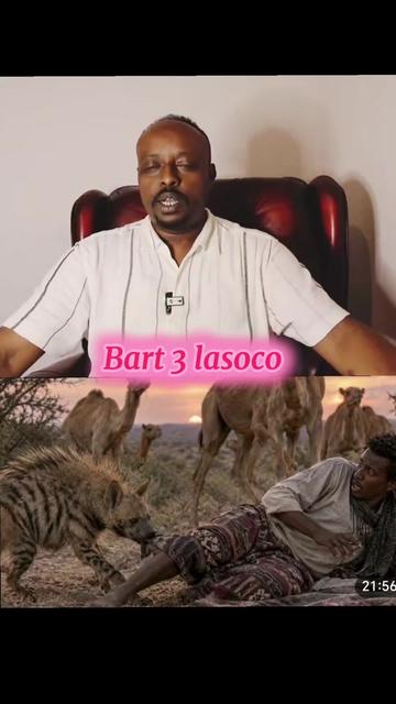 @CIISE GALMUDUGTV🇬🇶JAXAF.JXAF
